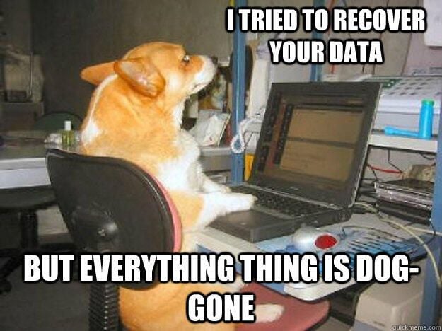 datarecoverydoggo.jpg