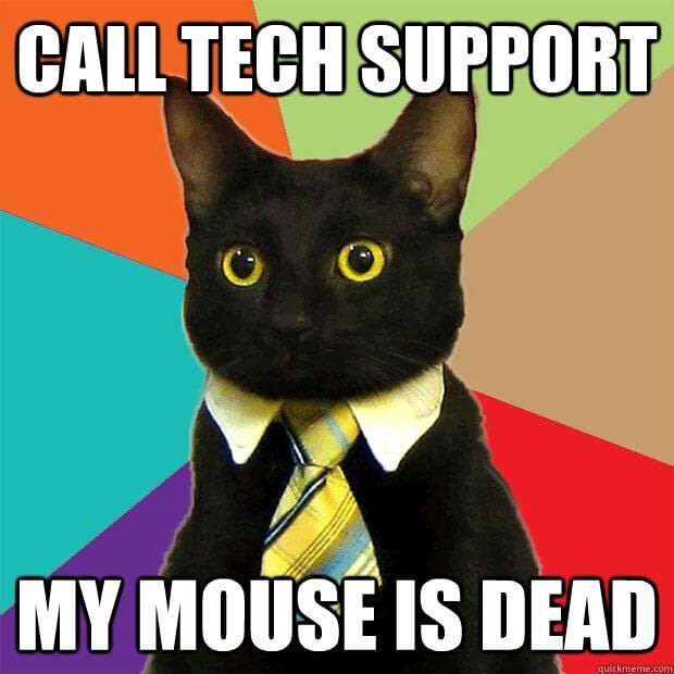 businesscat.jpg