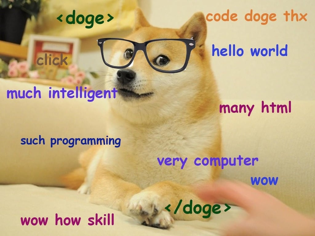 doge.jpg