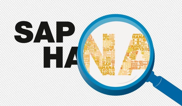 SAP HANA: The smart person’s guide