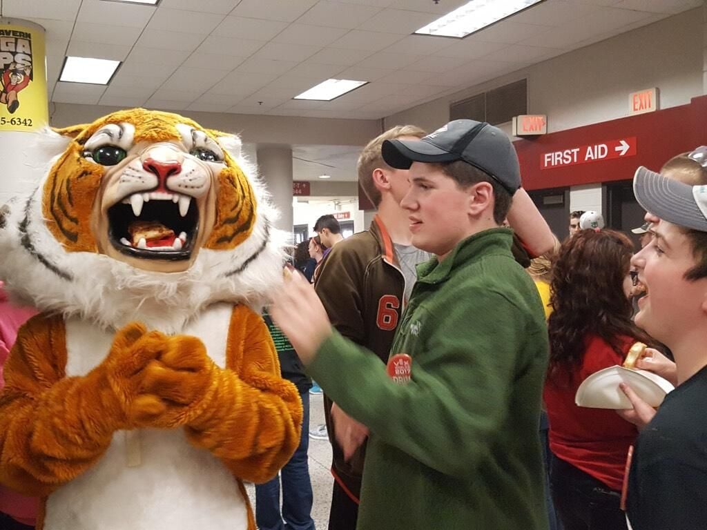 tiger-team.jpg
