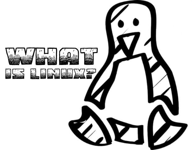 Linux desktop operating system: A beginner’s guide