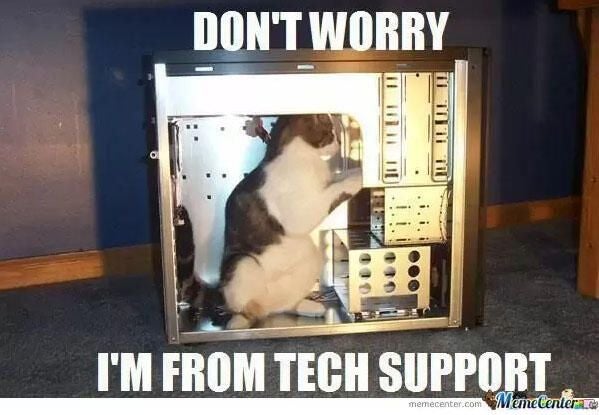cat-tech-support-meme.jpg