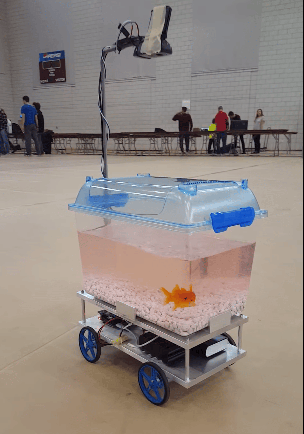 The 30 silliest Raspberry Pi projects