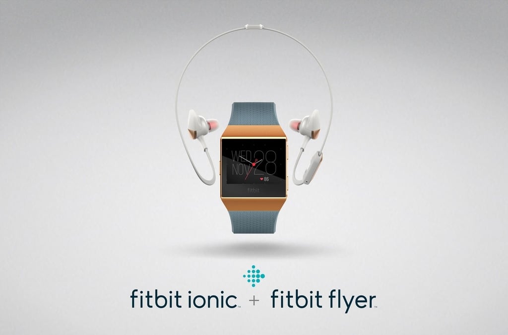 fitbitionicflyerlockupburntorangeslateblue.jpg