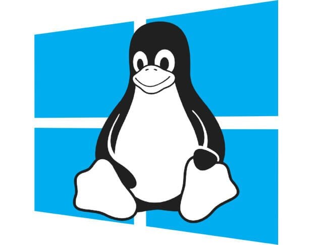 5 fundamental differences between Windows 10 and Linux
