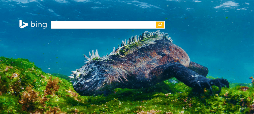 Bing for business promises increased enterprise productivity–but at what cost?
