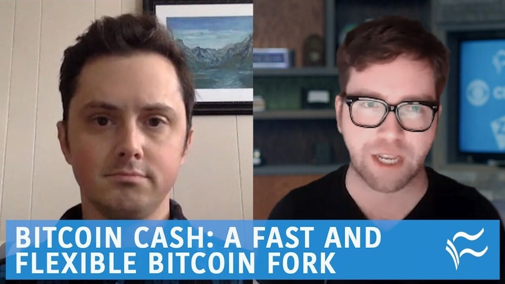Bitcoin Cash: a fast and flexible Bitcoin fork