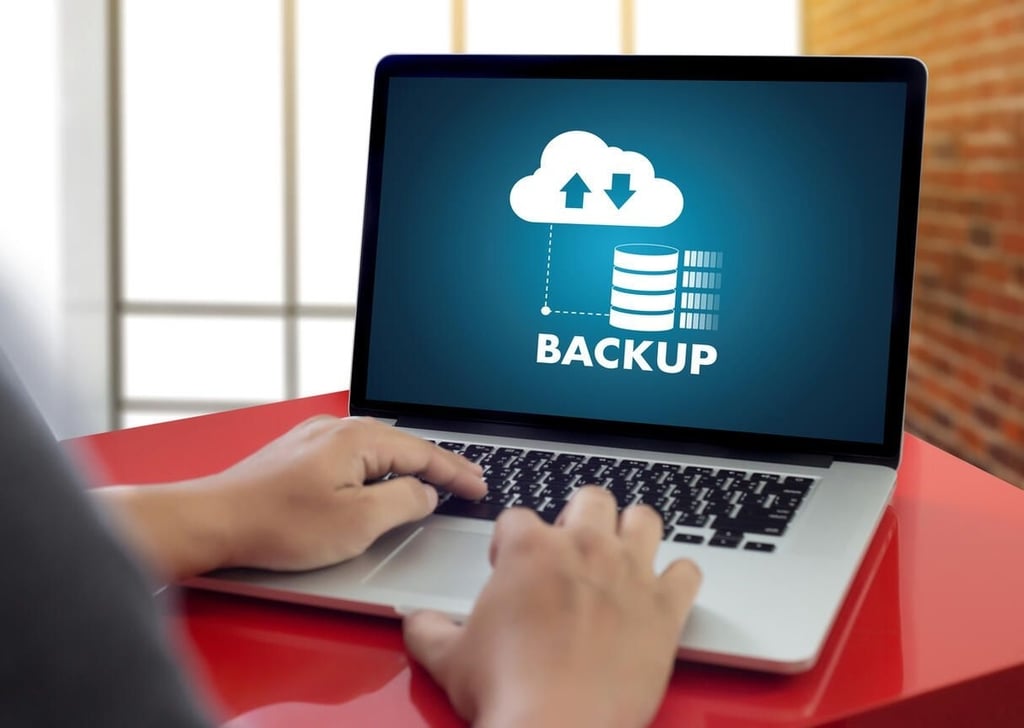 EMC, IBM update virtual machine backup software