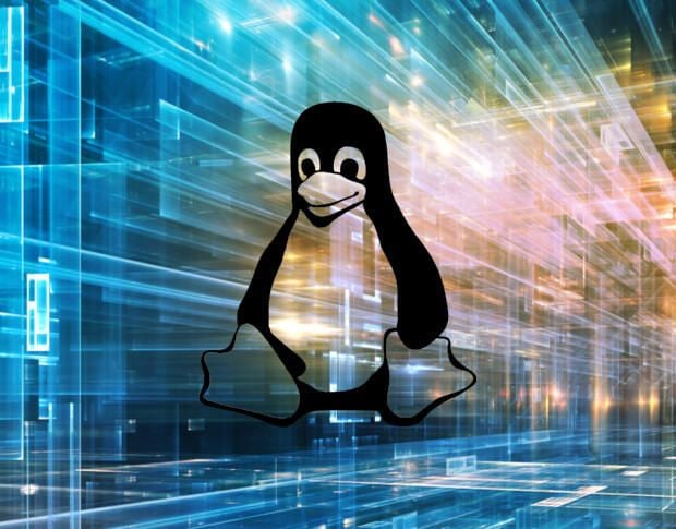 How to run a network speed test from a headless Linux server