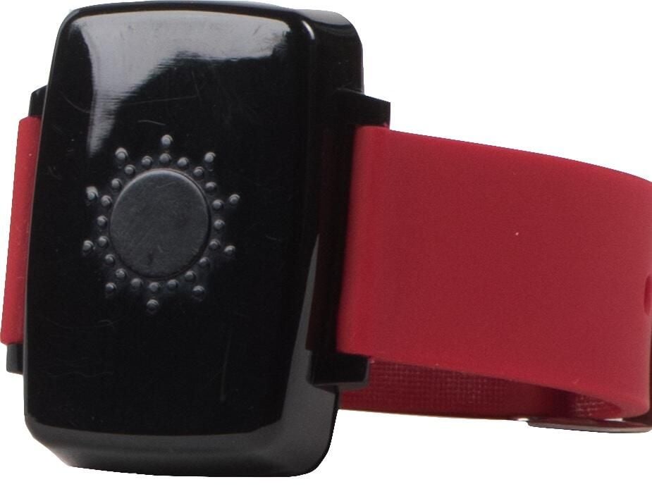 wearable9.jpg