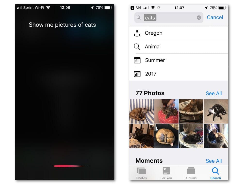 16-siri-can-search-more-stuff.jpg
