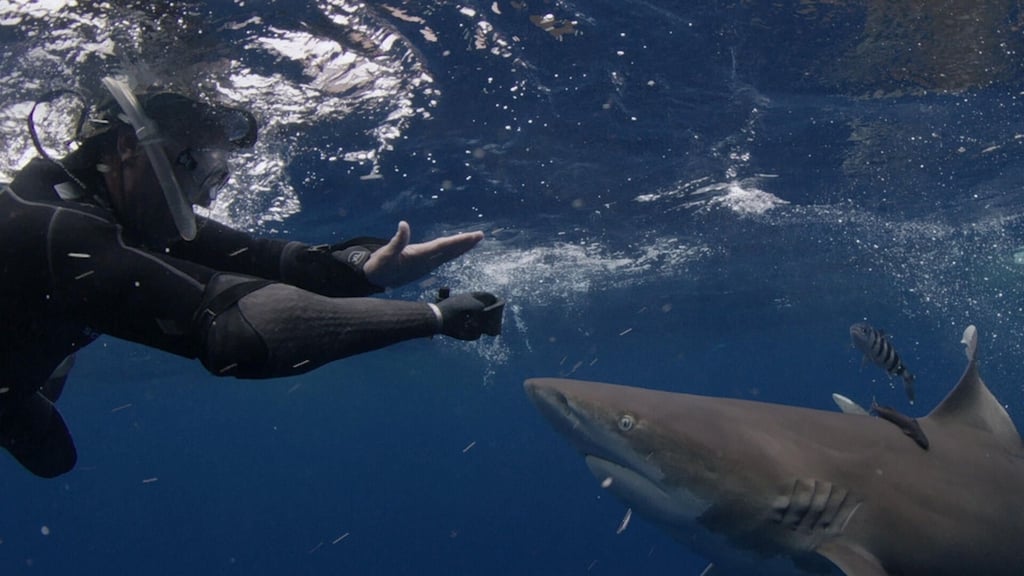 How sharks are no match for technology during Discovery Channel’s Shark Week