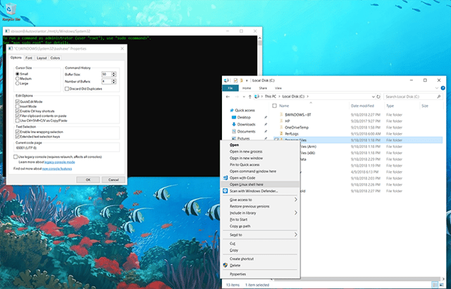 w10-enterprise-newconsole-3.png