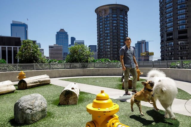 amazondog.jpg