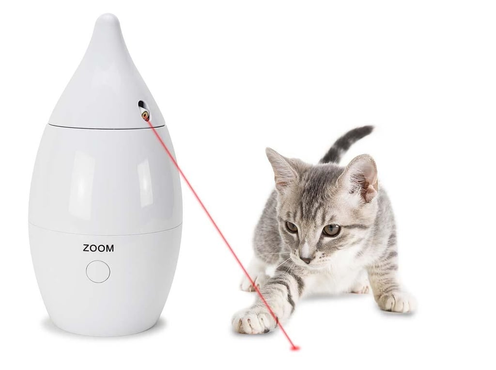 pet-laser.jpg