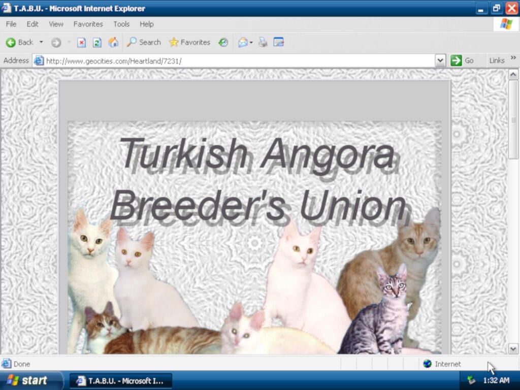 09-geocities.jpg