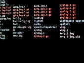 istock-841033564logfiles.jpg