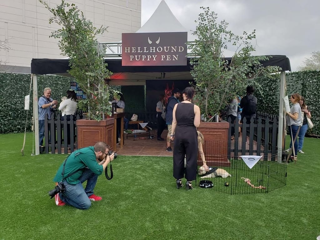 puppy-pen-sxsw.jpg