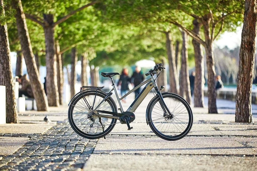 gazelle-city-zen-bike.jpg