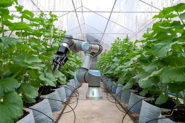 How AI could save the environment