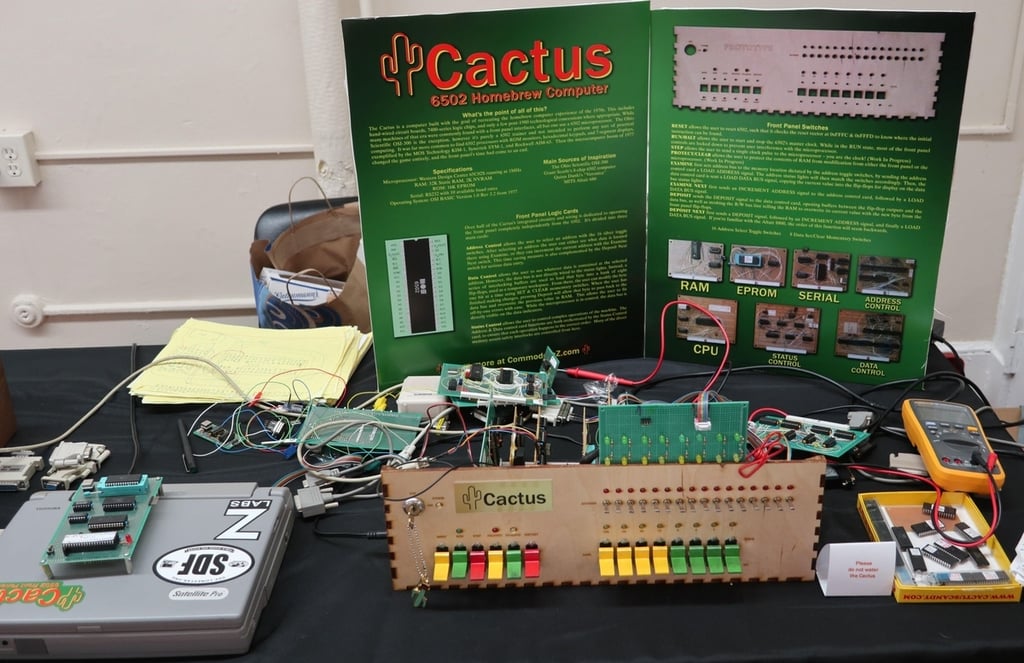 glenn-cactus.jpg