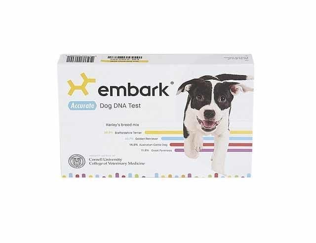 dog-dna-test.jpg
