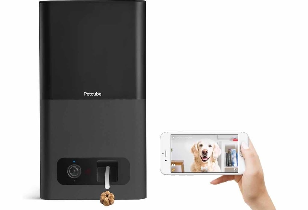 petcube.jpg