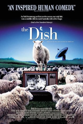 the-dish.jpg