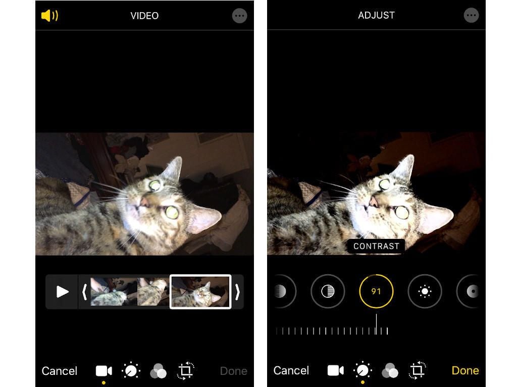 05-video.jpg