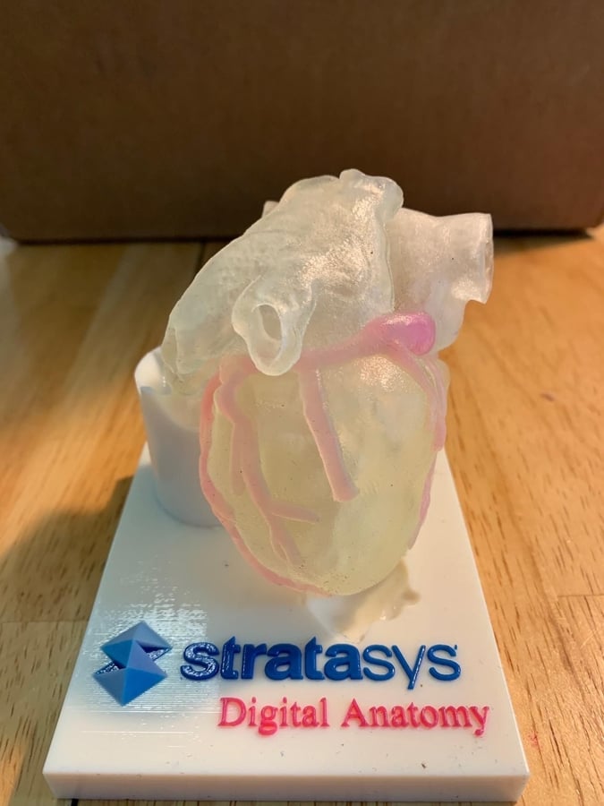 Photos: 3D printer creates organs that look and feel like the real thing
