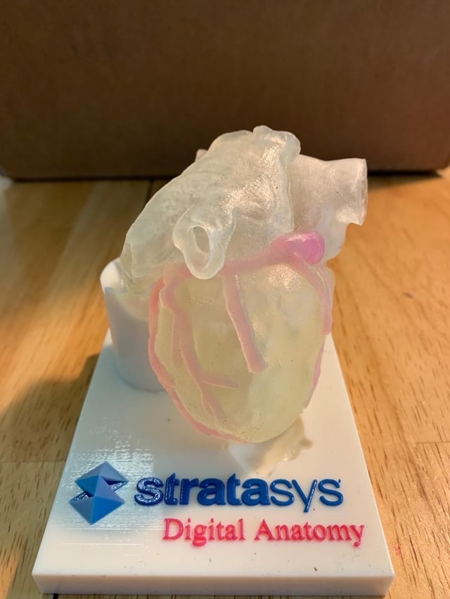 Photos: 3D printer creates organs that look and feel like the real thing