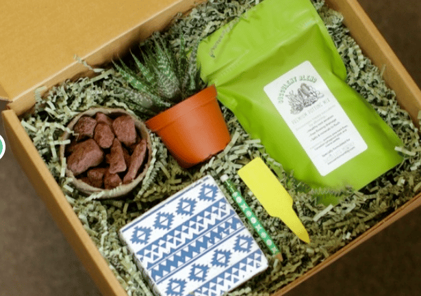 succulentkit.png