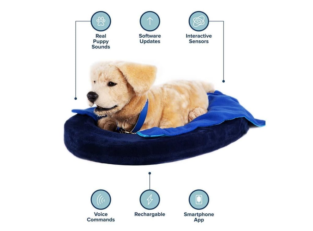 companion-dog-robot.jpg