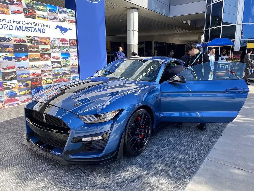mustang.jpg