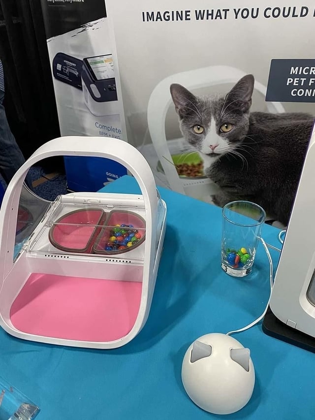 pet-feeder.jpg