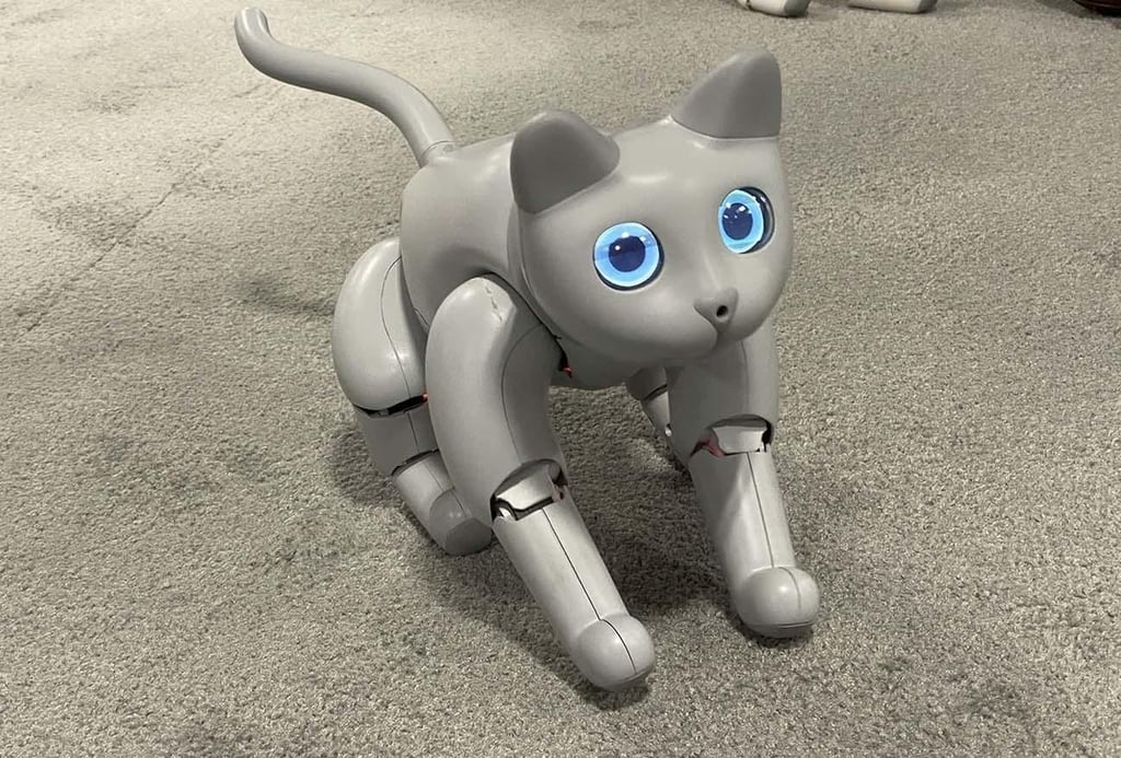 robo-cat.jpg