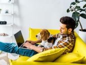 handsome man using laptop on yellow sofa with beagle dog