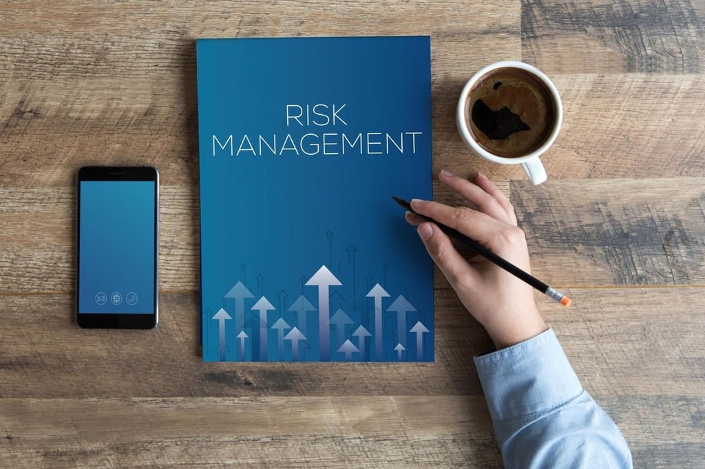 2 key factors in developing a risk management plan
