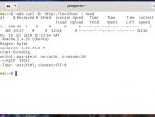pagespeed-output.jpg
