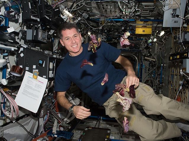 iss-3.jpg