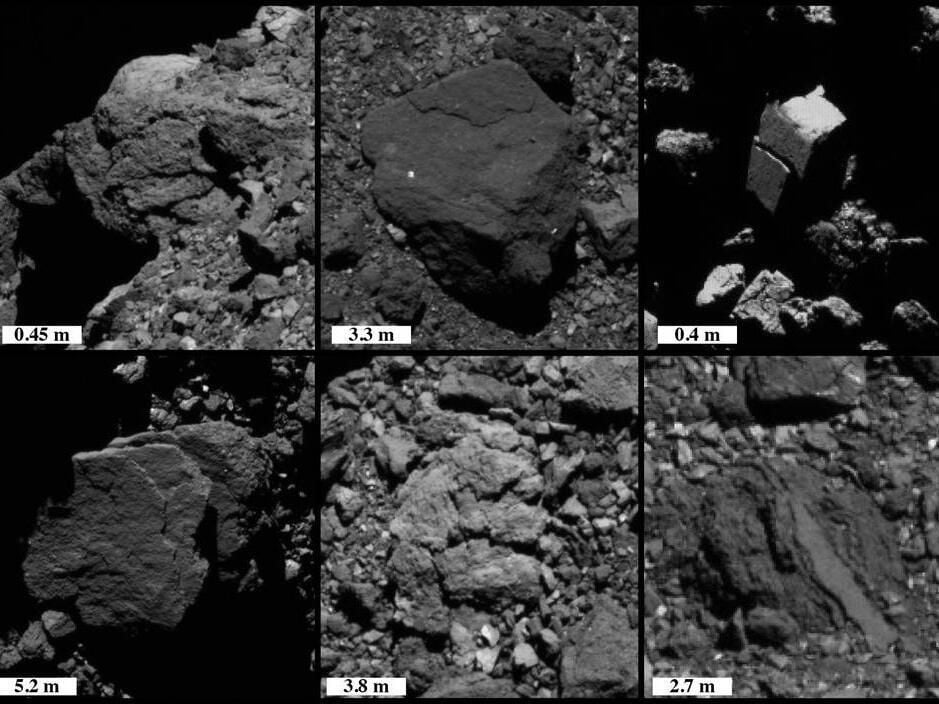 bennu.jpg