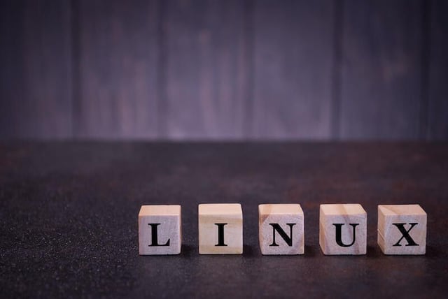 Linux 101: Explaining the SUID permission