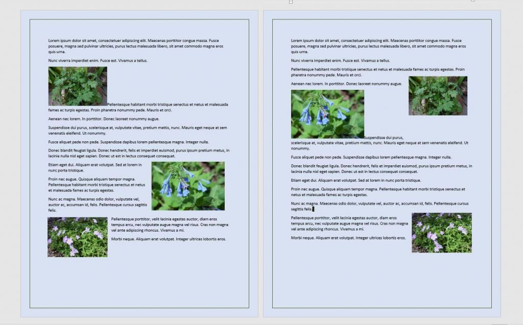 How to color pages in a Word document TechRepublic