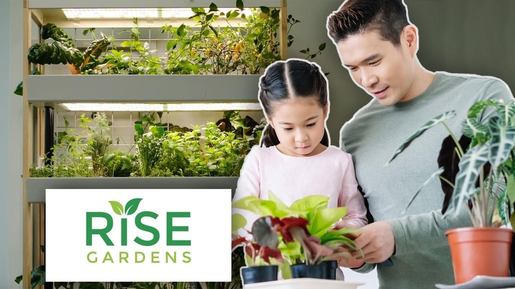 Grow your own hydroponic indoor garden with Rise Gardens, CEO says at CES 2021