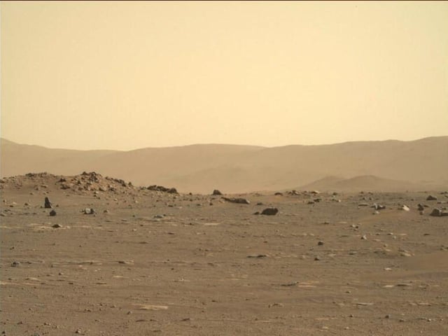 rover.jpg