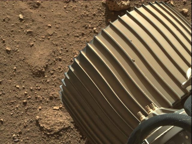 rover.jpg