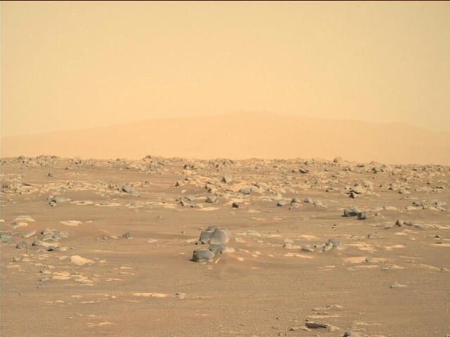 rover.jpg