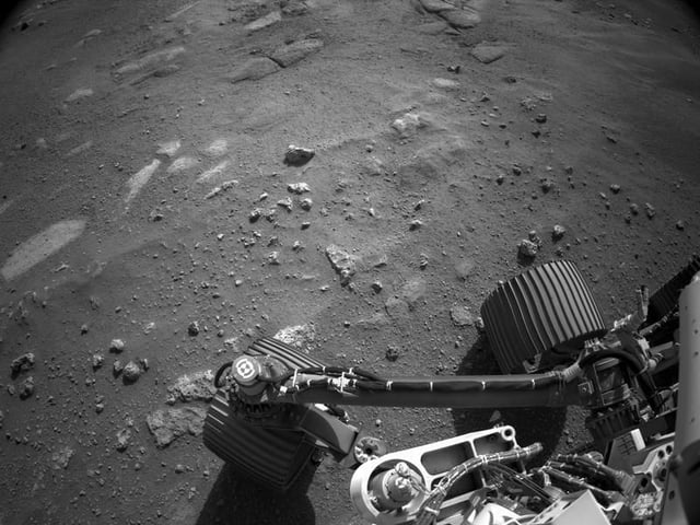rover.jpg