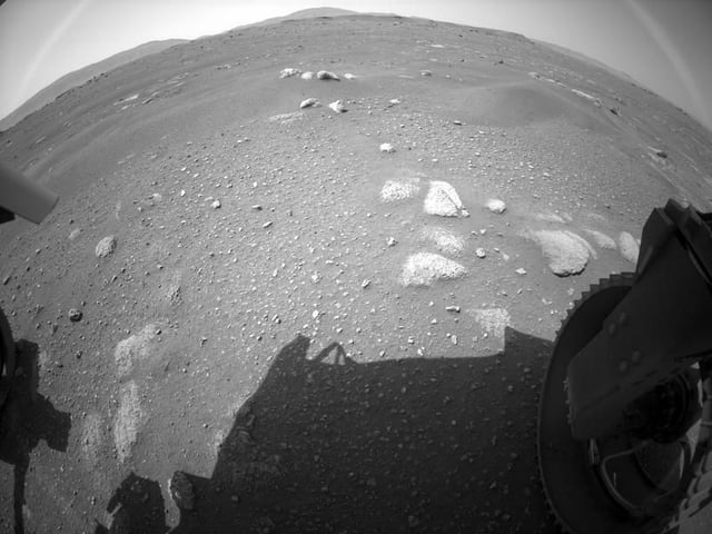 rover.jpg